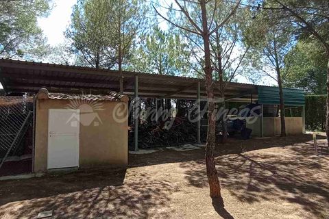 Landejendom i Yecla, Murcia, Yecla - € 480.000 | Ref: SF0501 - foto 29
